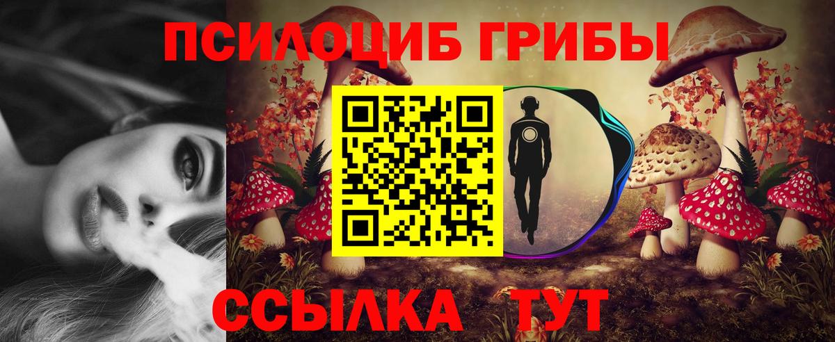 Галлюциногенные грибы прущие грибы  Вход с VPN  Псилоцибиновые грибы мухоморы  Нижнекамск 